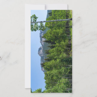 thorodin summit above woodlands at golden gate