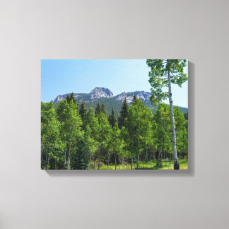 thorodin summit above woodlands at golden gate canvas print