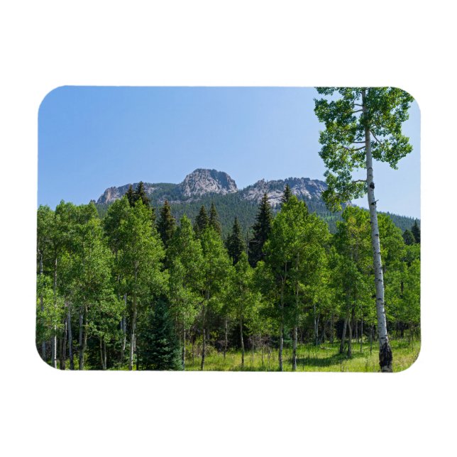 thorodin summit above woodlands at golden gate magnet (Horizontal)