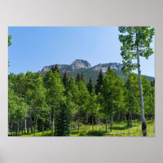 thorodin summit above woodlands at golden gate poster