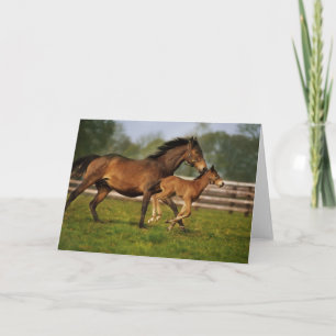 Thoroughbred Chestnut Mare & Foal Card