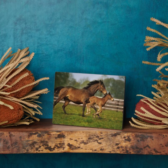 Thoroughbred Chestnut Mare & Foal Plaque (Side)