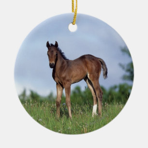 Thoroughbred Foal Standing in the Grass Ceramic Tree Decoration