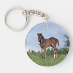 Thoroughbred Foal Standing in the Grass Key Ring