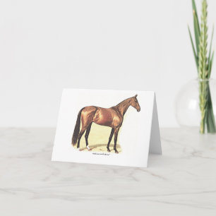 Thoroughbred Greeting Card