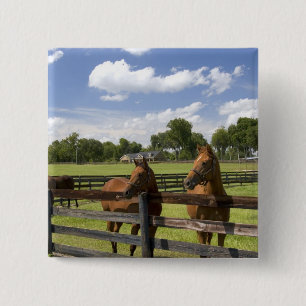 Thoroughbred horse farm in Marion County, 15 Cm Square Badge