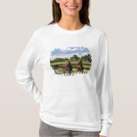 Thoroughbred horse farm in Marion County,