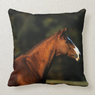 Thoroughbred Horse Headshot Cushion
