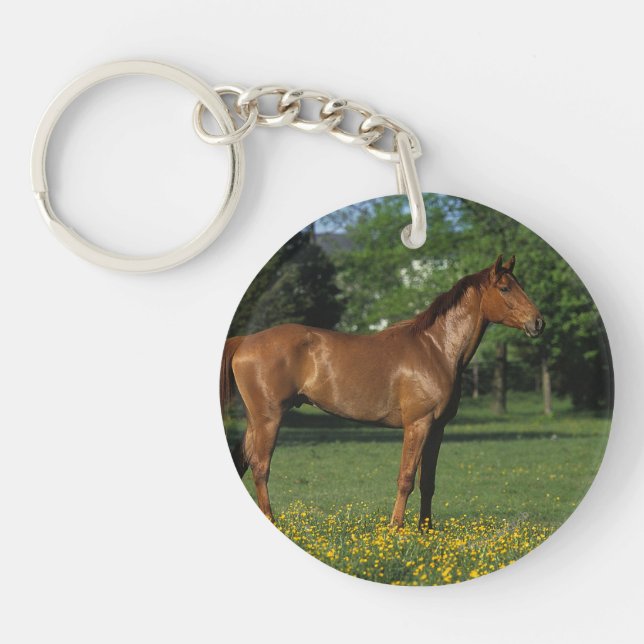 Thoroughbred Horse in Flowers Key Ring (Front)