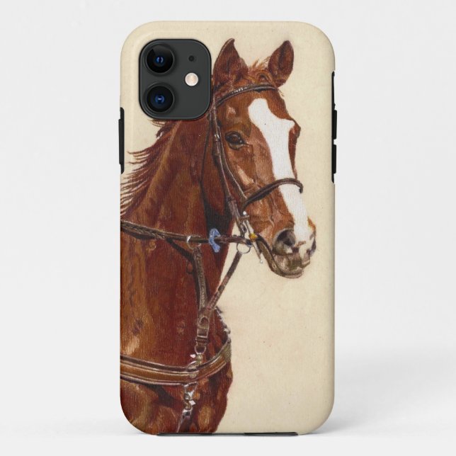 Thoroughbred Horse iPhone 5 Barely There Case (Back)