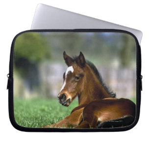 Thoroughbred Horse   Ireland Laptop Sleeve