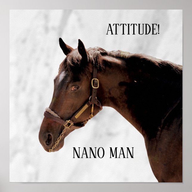 Thoroughbred Horse - Nano Man - Attitude Poster (Front)