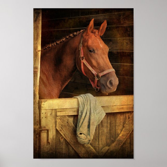 Thoroughbred Horse Poster (Front)