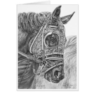 Thoroughbred Horse Race Portrait by Kelli Swan