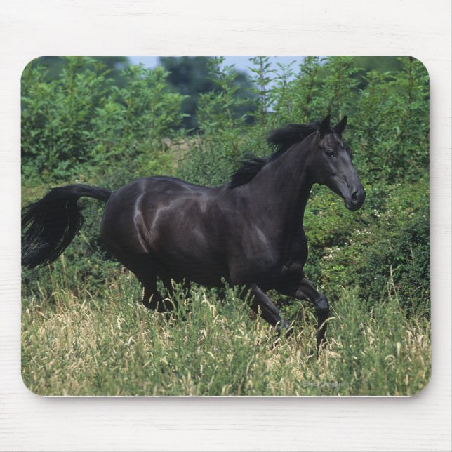 Thoroughbred Horse Running in Grass Mouse Pad (Front)