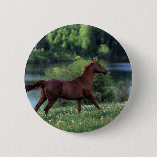Thoroughbred Horse Standing in Flowers 6 Cm Round Badge (Front)