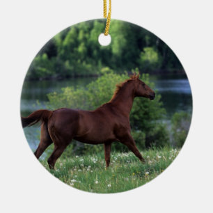 Thoroughbred Horse Standing in Flowers Ceramic Tree Decoration