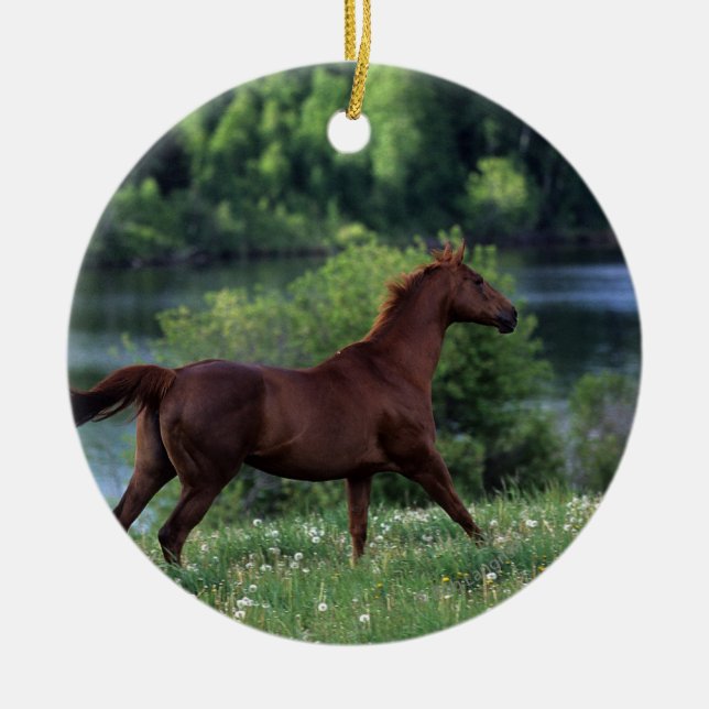 Thoroughbred Horse Standing in Flowers Ceramic Tree Decoration (Front)