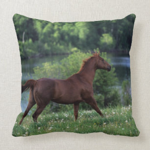 Thoroughbred Horse Standing in Flowers Cushion
