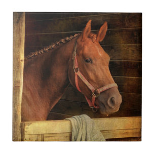 Thoroughbred Horse Tile