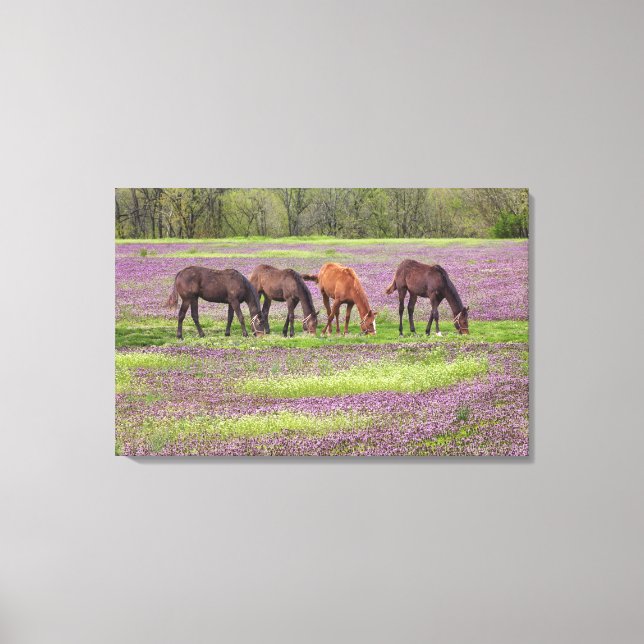 Thoroughbred horses in field of henbit flowers canvas print (Front)