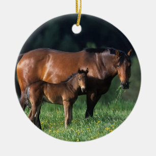 Thoroughbred Mare & Foal 1 Ceramic Tree Decoration