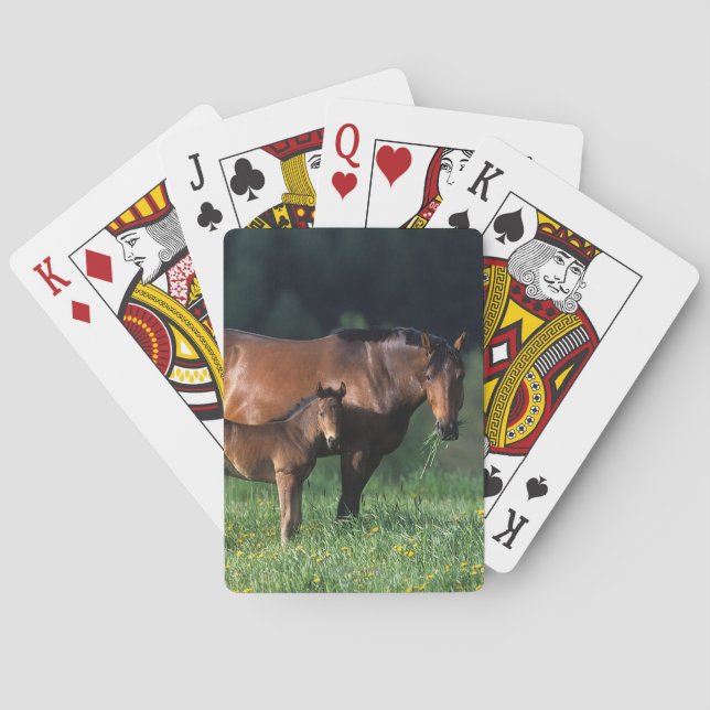 Thoroughbred Mare & Foal 1 Playing Cards (Back)