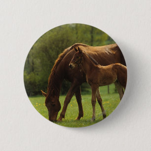 Thoroughbred Mare & Foal 2 6 Cm Round Badge