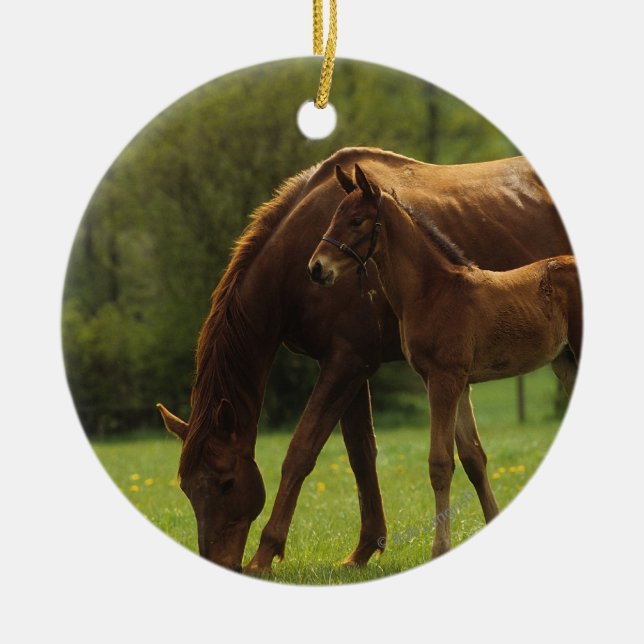 Thoroughbred Mare & Foal 2 Ceramic Tree Decoration (Front)