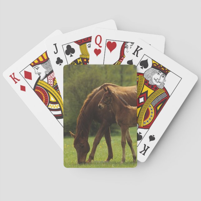 Thoroughbred Mare & Foal 2 Playing Cards (Back)