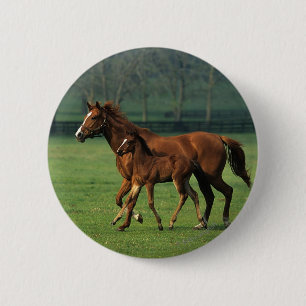 Thoroughbred Mare & Foal 3 6 Cm Round Badge