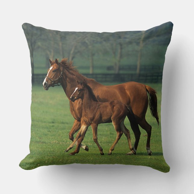 Thoroughbred Mare & Foal 3 Cushion (Front)