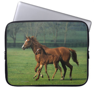 Thoroughbred Mare & Foal 3 Laptop Sleeve