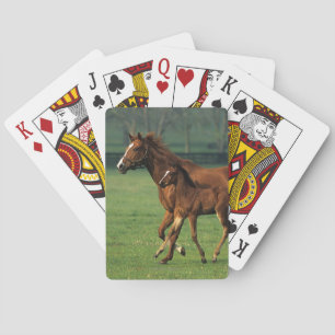 Thoroughbred Mare & Foal 3 Playing Cards