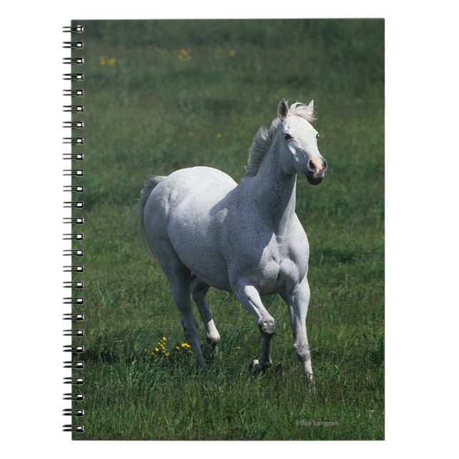 Thoroughbred Mare Spiral Notebook (Front)