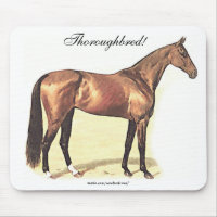 Thoroughbred