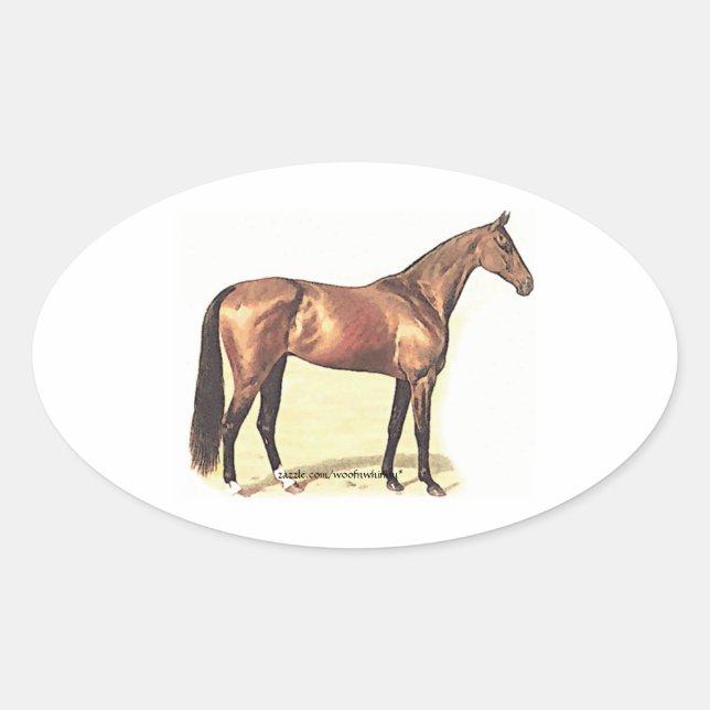 Thoroughbred Oval Sticker (Front)