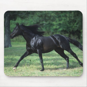 Thoroughbred Running Mouse Pad