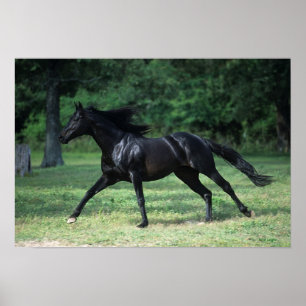 Thoroughbred Running Poster