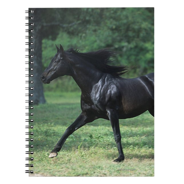 Thoroughbred Running Spiral Notebook (Front)
