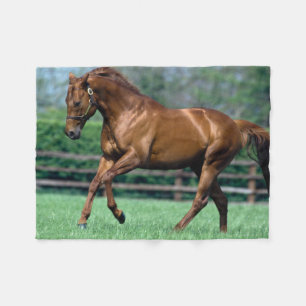 Thoroughbred Stallion, Ireland Fleece Blanket