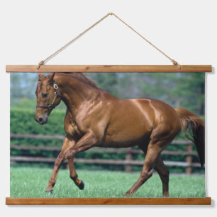 Thoroughbred Stallion, Ireland Hanging Tapestry