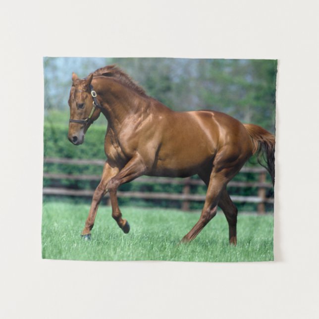 Thoroughbred Stallion, Ireland Tapestry (Front (Horizontal))