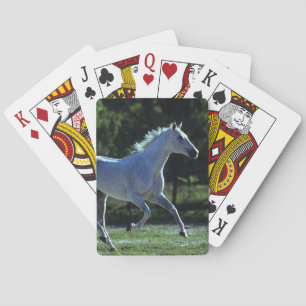 Thoroughbred Stallion Running Playing Cards