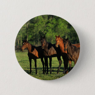 Thoroughbred Yearlings 6 Cm Round Badge