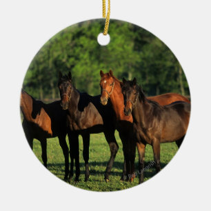 Thoroughbred Yearlings Ceramic Tree Decoration