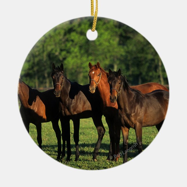 Thoroughbred Yearlings Ceramic Tree Decoration (Front)