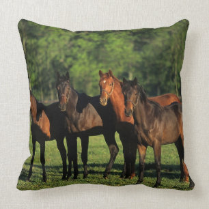 Thoroughbred Yearlings Cushion