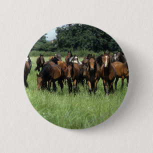 Thoroughbred Youngsters 6 Cm Round Badge