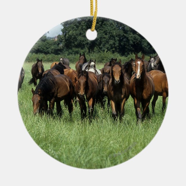 Thoroughbred Youngsters Ceramic Tree Decoration (Front)